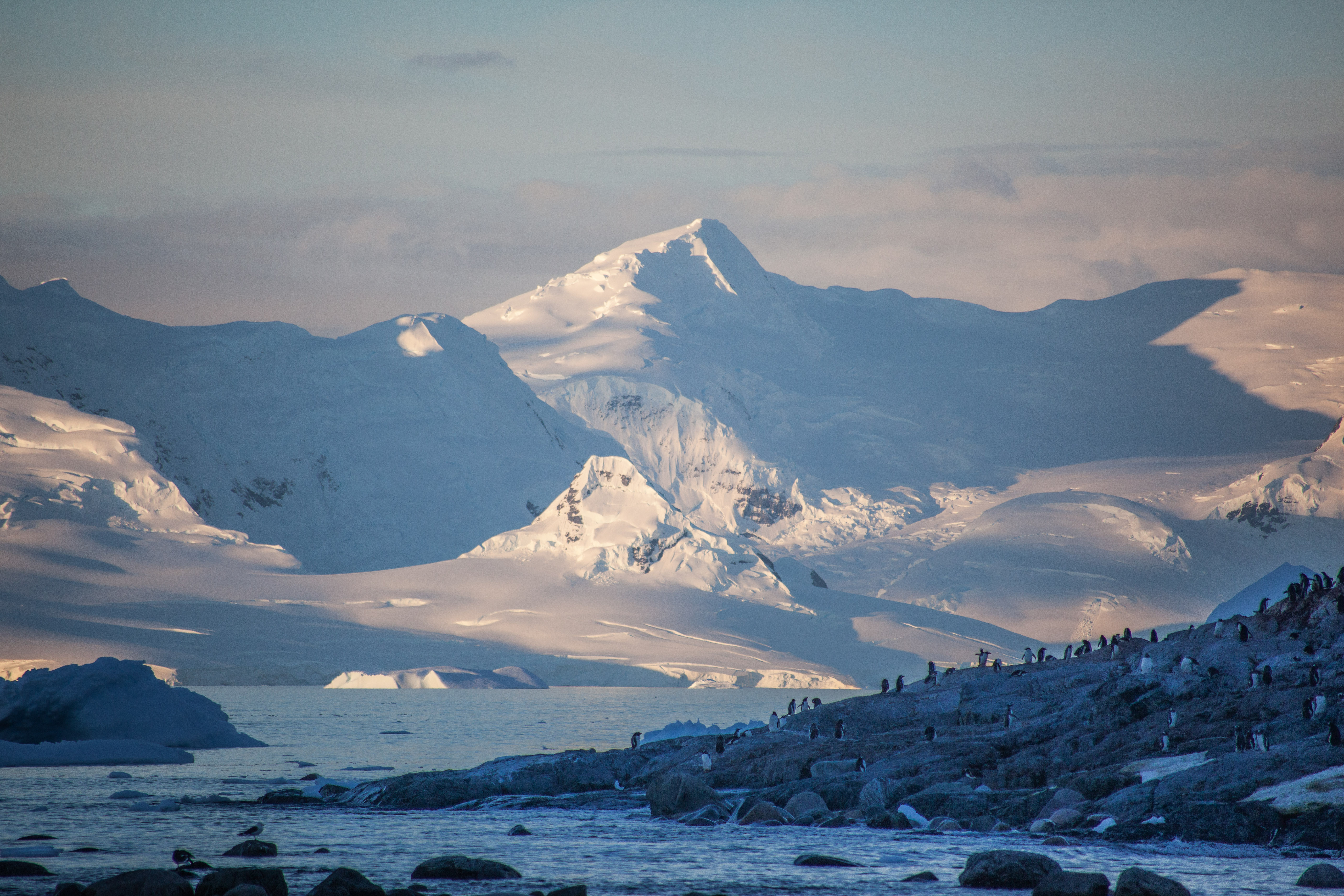 Antarctica 2018 Day 8 to 10